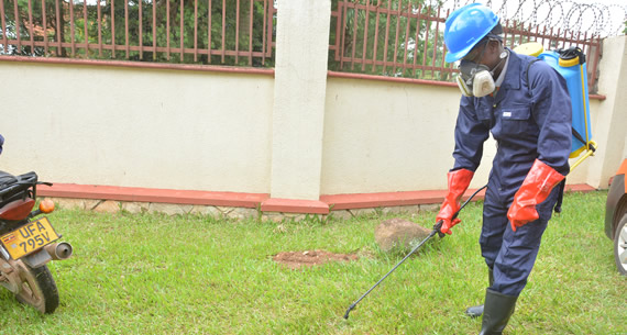 Project: Fumigation