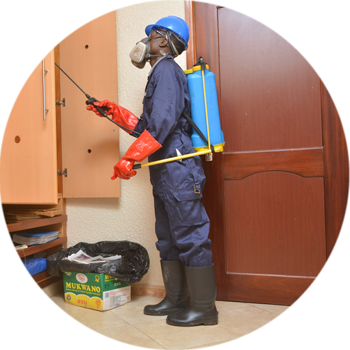 Technician fumigating a room